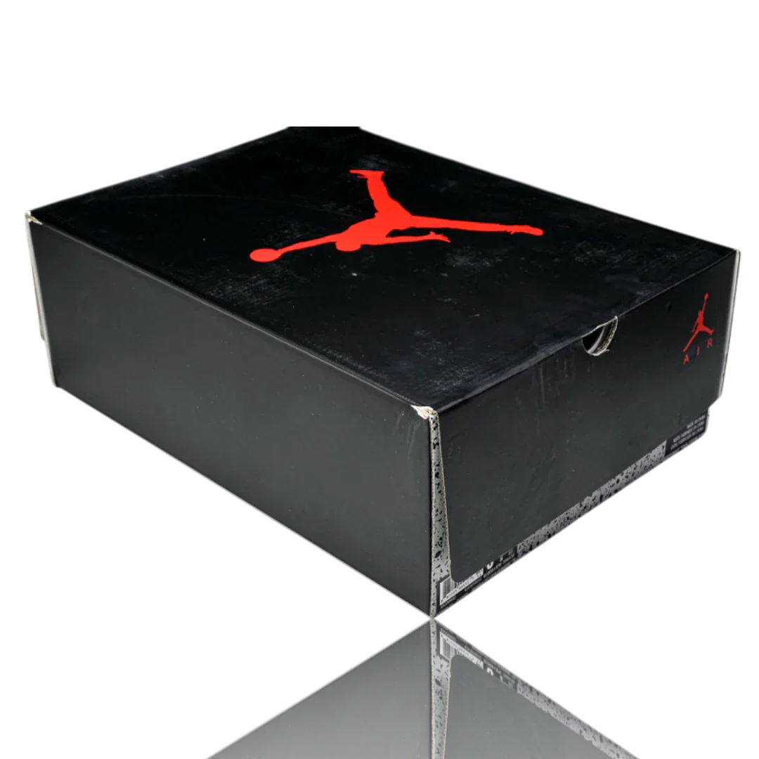 AJ6 Retro 'Black Infrared' (2019)