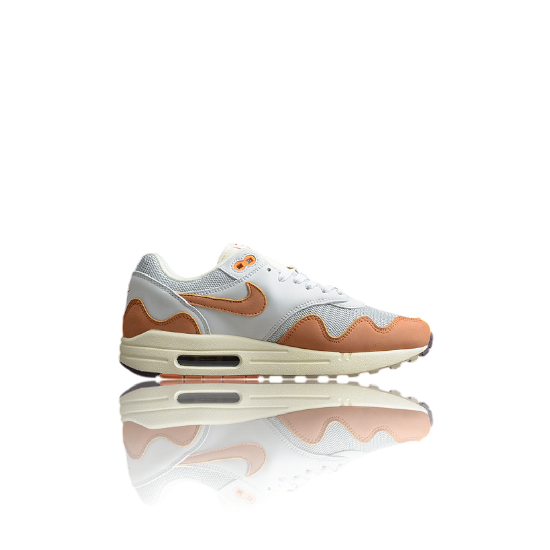 AM1 x Patta 'Waves Monarch'