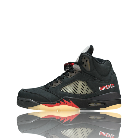AJ5 Retro x Gore-Tex 'Off Noir'