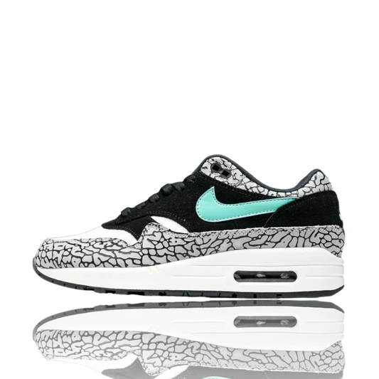 AM1 x Atmos 'Elephant'