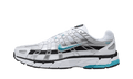 P6000 - Dusty Cactus