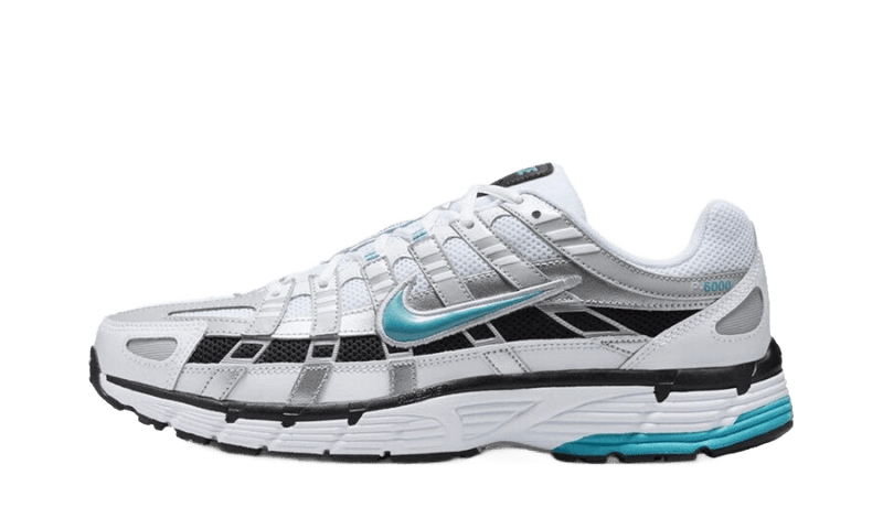 P6000 - Dusty Cactus
